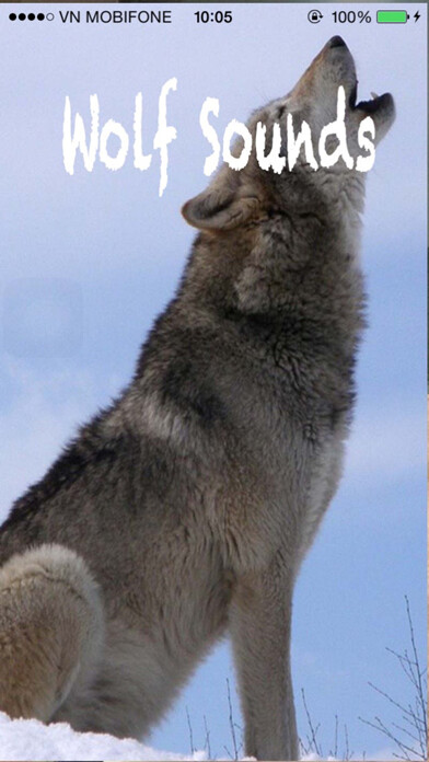 Emulate iPhone app Wolf Sounds - Gray wolf Sounds using MyAndroid Emulate iPhone app Wolf Sounds - Gray wolf Sounds using MyAndroid