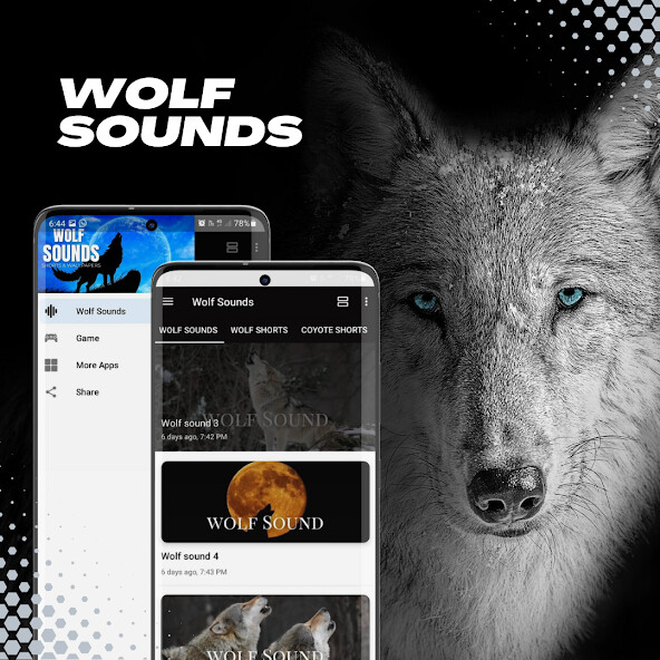 Run android online APK Wolf Sounds-videos-wallpaper from MyAndroid or emulate Wolf Sounds-videos-wallpaper using MyAndroid Run android online APK Wolf Sounds-videos-wallpaper from MyAndroid or emulate Wolf Sounds-videos-wallpaper using MyAndroid