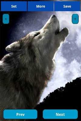 Emulate Android APK Wolfs Wallpapers Emulate Android APK Wolfs Wallpapers