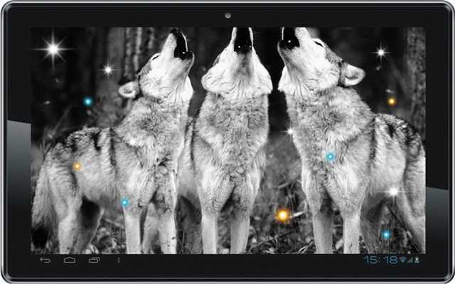 Emulate Android APK Wolf Voice HD live wallpaper
