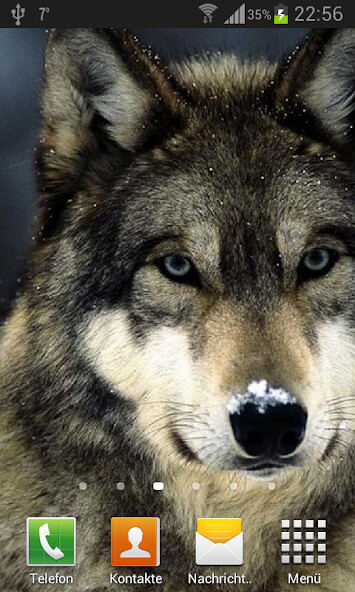 Emulate Android APK Wolves Live Wallpaper Emulate Android APK Wolves Live Wallpaper