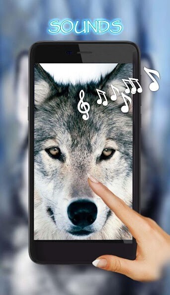 Run android online APK Wolves Sounds Live Wallpaper from MyAndroid or emulate Wolves Sounds Live Wallpaper using MyAndroid Run android online APK Wolves Sounds Live Wallpaper from MyAndroid or emulate Wolves Sounds Live Wallpaper using MyAndroid