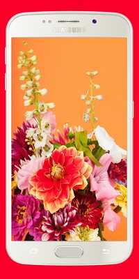 Emulate Android APK Wonderful flowers Images Live