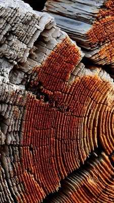 Emulate Android APK Wooden background HD wallpaper