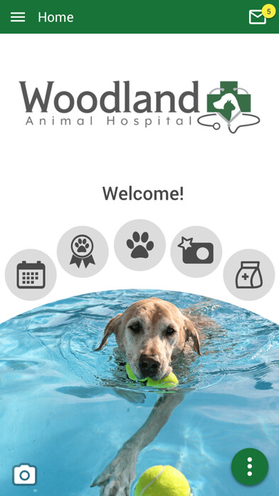 Run android online APK Woodland AH from MyAndroid or emulate Woodland AH using MyAndroid