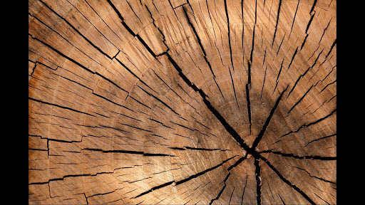 Run android online APK Wood Nature. Wallpapers from MyAndroid or emulate Wood Nature. Wallpapers using MyAndroid