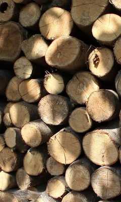 Emulate Android APK Wood still life Emulate Android APK Wood still life