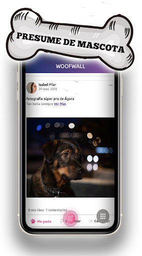 Run android online APK WoofMe from MyAndroid or emulate WoofMe using MyAndroid