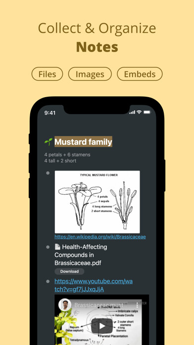 Emulate iPhone app WorkFlowy: Note, List, Outline using MyAndroid Emulate iPhone app WorkFlowy: Note, List, Outline using MyAndroid