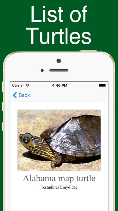 Emulate iPhone app World Turtles! using MyAndroid Emulate iPhone app World Turtles! using MyAndroid
