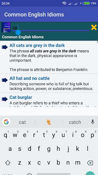 Run android online APK Wow! English Idioms Vocabulary from MyAndroid or emulate Wow! English Idioms Vocabulary using MyAndroid