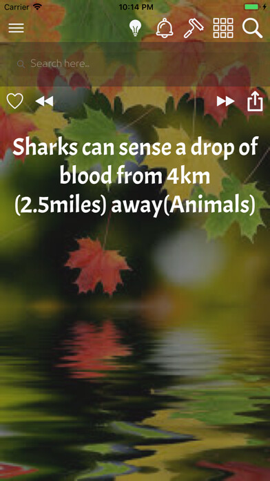 Emulate iPhone app WowFacts Learn Daily Facts App using MyAndroid
