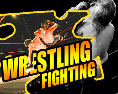 Emulate Android APK Wrestling Fighting Games Tips