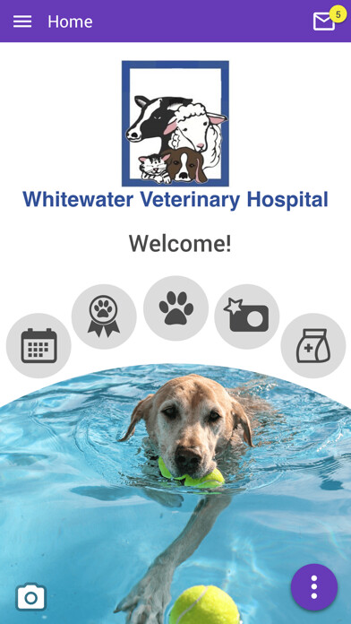 Run android online APK WW VetHospital from MyAndroid or emulate WW VetHospital using MyAndroid