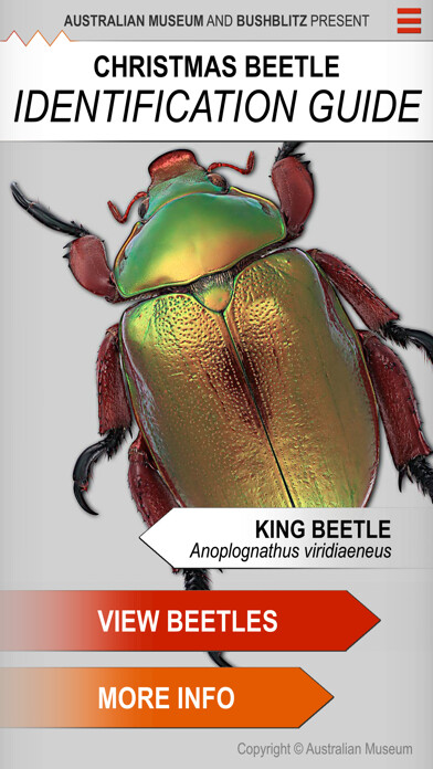 Emulate iPhone app Xmas Beetle ID Guide using MyAndroid Emulate iPhone app Xmas Beetle ID Guide using MyAndroid