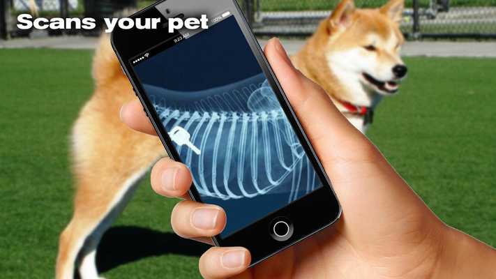 Emulate Android APK X-ray Dog Simulator Emulate Android APK X-ray Dog Simulator