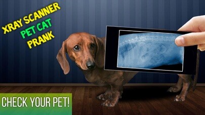 Emulate iPhone app Xray Scanner Pet Cat Prank using MyAndroid