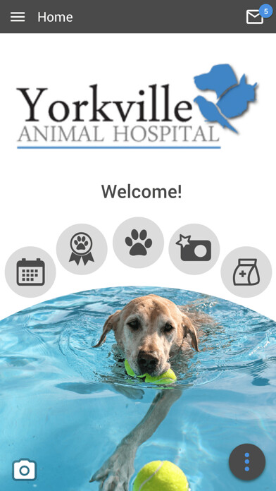 Emulate iPhone app YAHPets using MyAndroid Emulate iPhone app YAHPets using MyAndroid