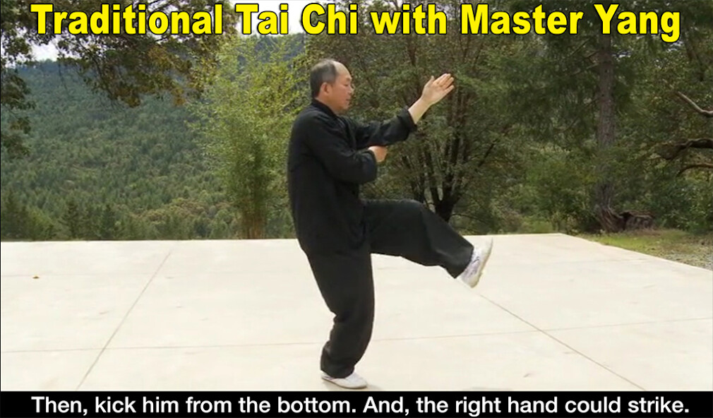 Emulate iPhone app Yang Tai Chi for Beginners 2&3 using MyAndroid Emulate iPhone app Yang Tai Chi for Beginners 2&3 using MyAndroid