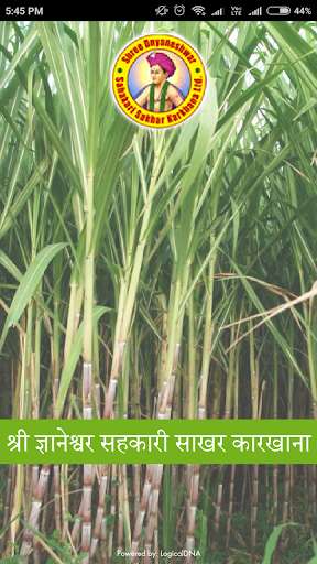 Run android online APK Yard Management - Sugar from MyAndroid or emulate Yard Management - Sugar using MyAndroid