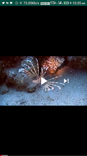 Run android online APK YEJAMAAN T#V LIVE from MyAndroid or emulate YEJAMAAN T#V LIVE using MyAndroid