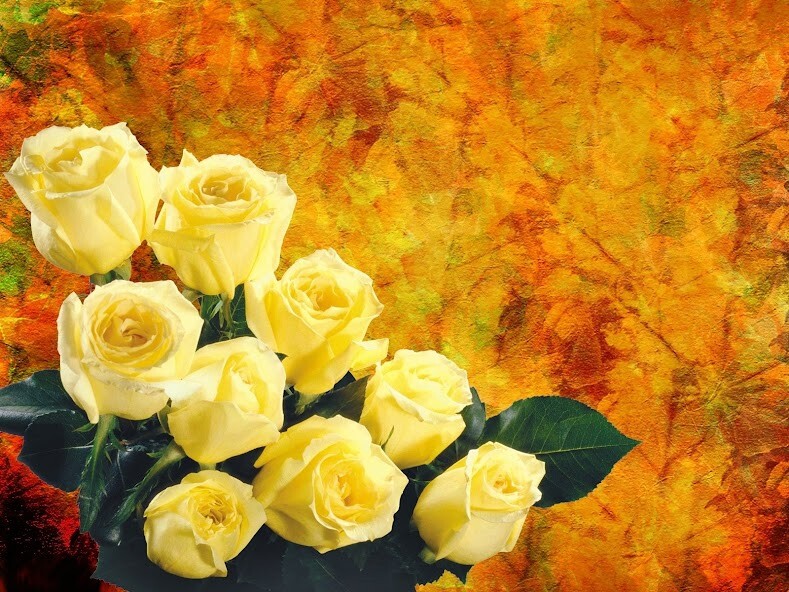 Run android online APK Yellow Rose Wallpaper HD from MyAndroid or emulate Yellow Rose Wallpaper HD using MyAndroid Run android online APK Yellow Rose Wallpaper HD from MyAndroid or emulate Yellow Rose Wallpaper HD using MyAndroid