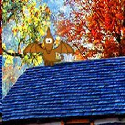 Emulate Android APK yippee forest escape Emulate Android APK yippee forest escape