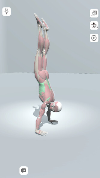 Run android online APK Yoga Anatomy from MyAndroid or emulate Yoga Anatomy using MyAndroid Run android online APK Yoga Anatomy from MyAndroid or emulate Yoga Anatomy using MyAndroid