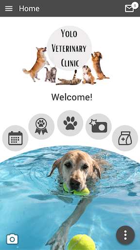 Run android online APK YoloVet Clinic from MyAndroid or emulate YoloVet Clinic using MyAndroid Run android online APK YoloVet Clinic from MyAndroid or emulate YoloVet Clinic using MyAndroid