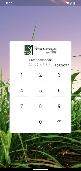 Run android online APK Your FNB Jeanerette from MyAndroid or emulate Your FNB Jeanerette using MyAndroid Run android online APK Your FNB Jeanerette from MyAndroid or emulate Your FNB Jeanerette using MyAndroid