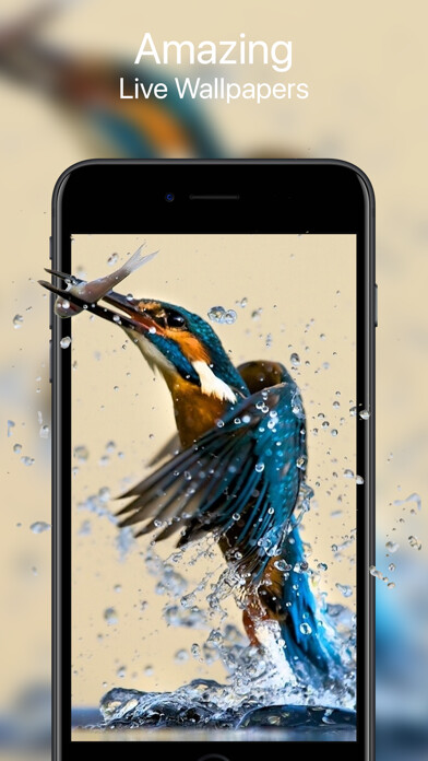 Emulate iPhone app Your Live Wallpapers using MyAndroid