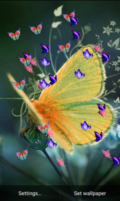 Emulate Android APK Z3 butterfly Change Effect