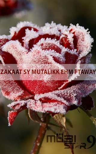 Emulate Android APK Zakat sy Mutallik Ehm Ftaway Emulate Android APK Zakat sy Mutallik Ehm Ftaway