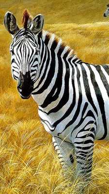 Emulate Android APK zebra live wallpapers free Emulate Android APK zebra live wallpapers free