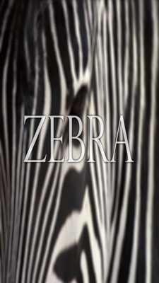 Emulate Android APK Zebra Wallpaper HD Complete
