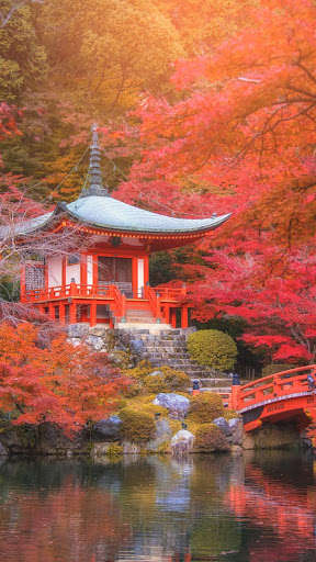 Run android online APK Zen Garden Wallpapers from MyAndroid or emulate Zen Garden Wallpapers using MyAndroid