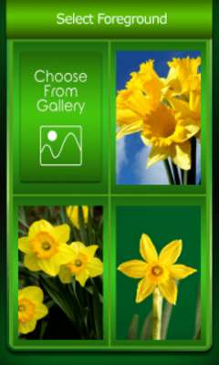 Emulate Android APK Zipper Lock Screen Daffodil Emulate Android APK Zipper Lock Screen Daffodil