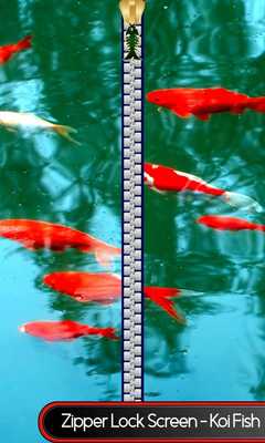 Emulate Android APK Zipper Lock Screen - Koi Fish Emulate Android APK Zipper Lock Screen - Koi Fish
