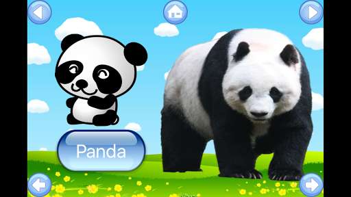 Run android online APK Zoo Animals Sound from MyAndroid or emulate Zoo Animals Sound using MyAndroid