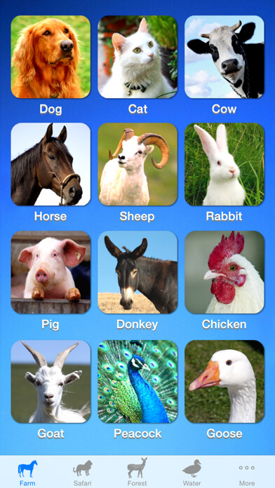 Emulate iPhone app Zoola Animals - Lite using MyAndroid Emulate iPhone app Zoola Animals - Lite using MyAndroid