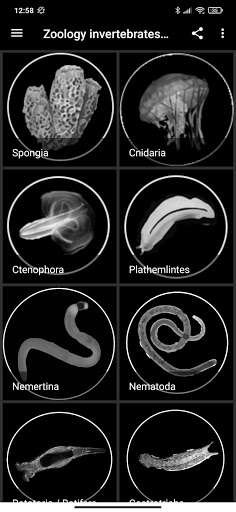 Run android online APK Zoology invertebrates part I from MyAndroid or emulate Zoology invertebrates part I using MyAndroid Run android online APK Zoology invertebrates part I from MyAndroid or emulate Zoology invertebrates part I using MyAndroid